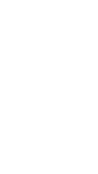 blinklogo21